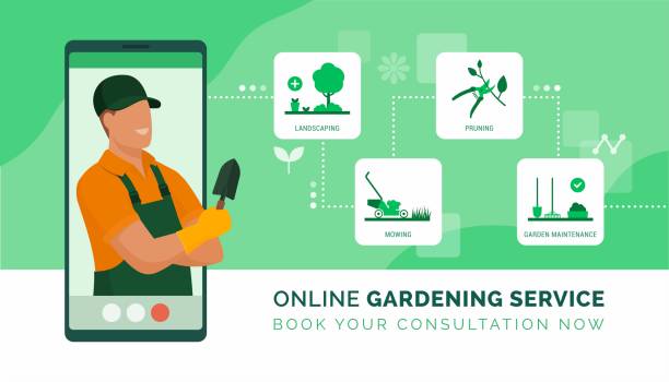 Lawn Care Web Services Expert Solutions